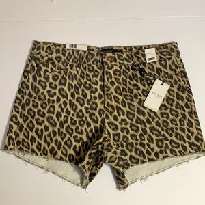 Judy Blue XL High Waist Shorts